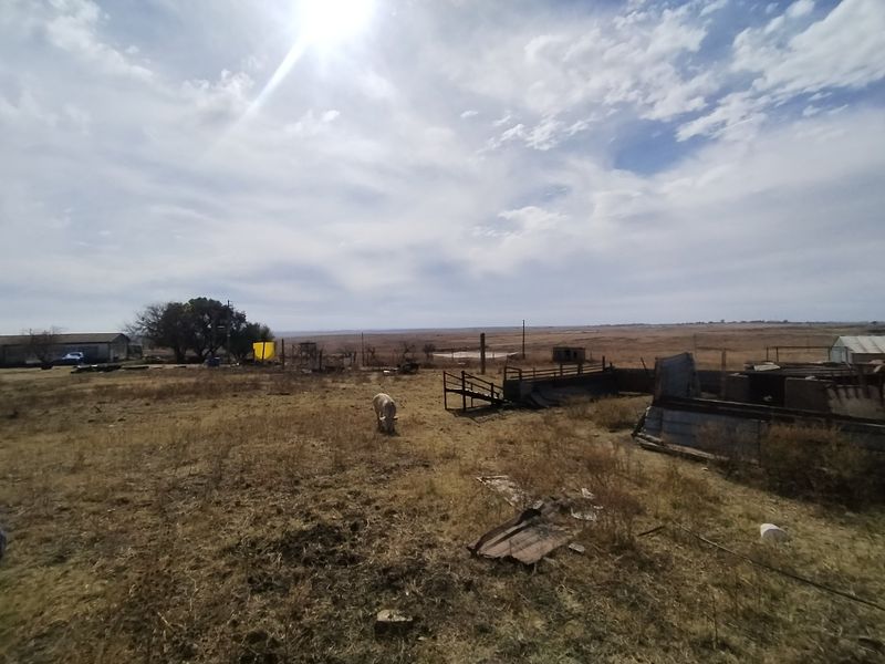 77 ha Farm For Sale in Evander - Photo 6