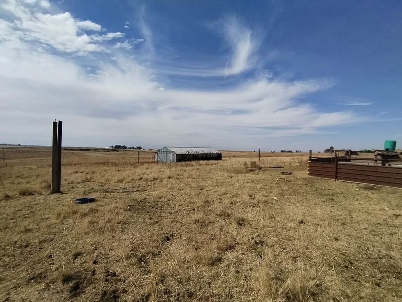 77 ha Farm For Sale in Evander - Photo 8