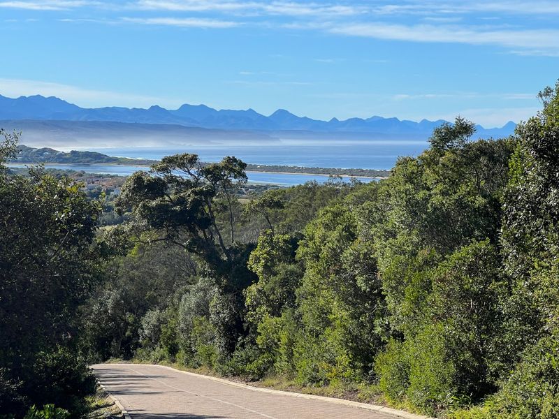 North-Facing Vacant Stand with Stunning Mountain Views in Secure Baron's View Estate - Photo 10