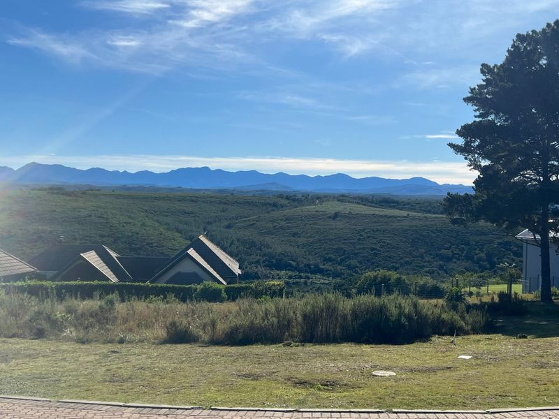 North-Facing Vacant Stand with Stunning Mountain Views in Secure Baron's View Estate - Photo 8