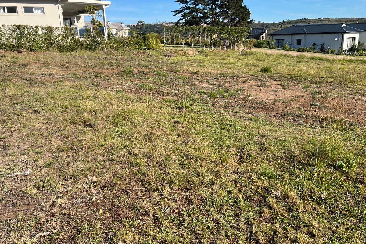 North-Facing Vacant Stand with Stunning Mountain Views in Secure Baron's View Estate - Photo 5