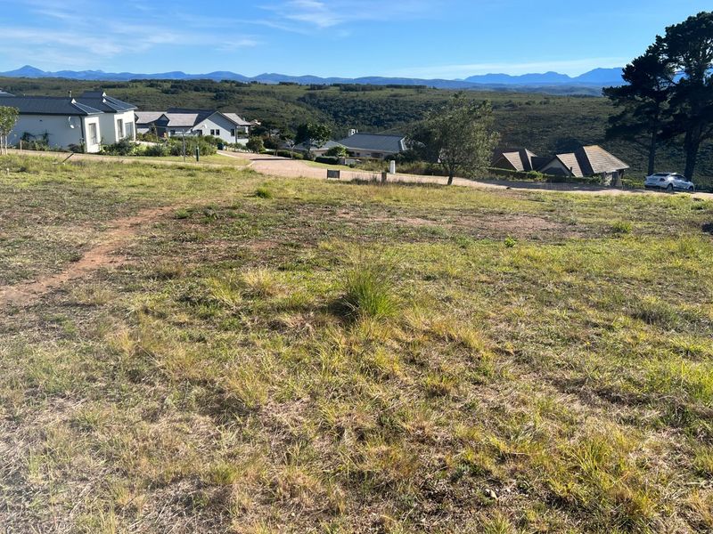 North-Facing Vacant Stand with Stunning Mountain Views in Secure Baron's View Estate - Photo 6