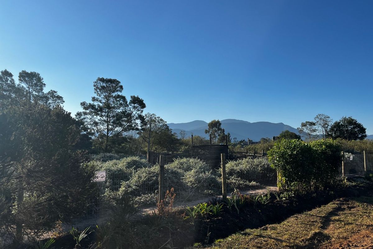 Large Vacant Erf/Small Holding Kurland - Photo 5