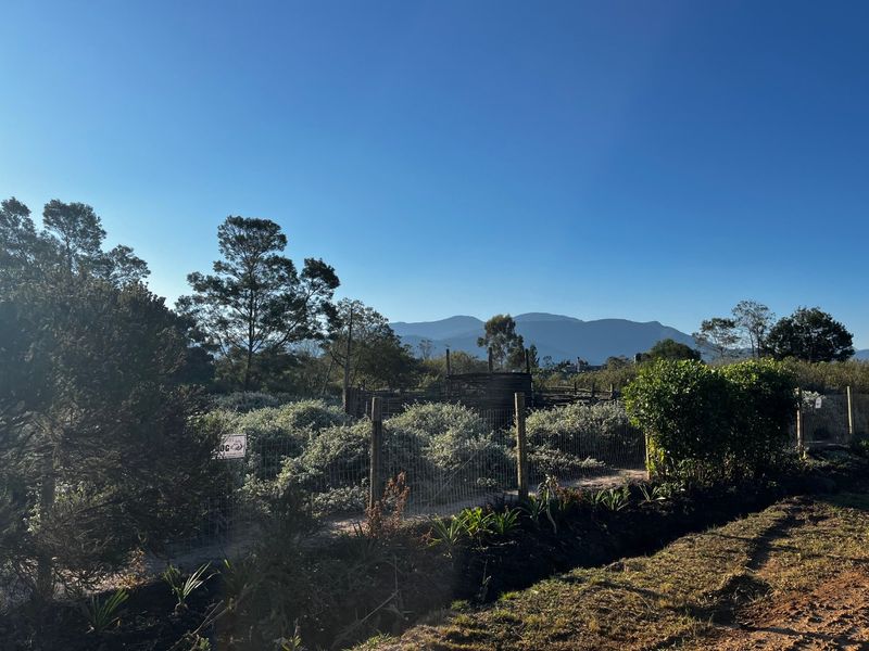 Large Vacant Erf/Small Holding Kurland - Photo 5