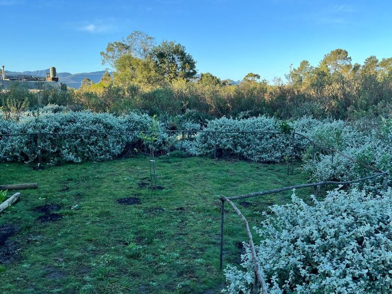 Large Vacant Erf/Small Holding Kurland - Photo 9