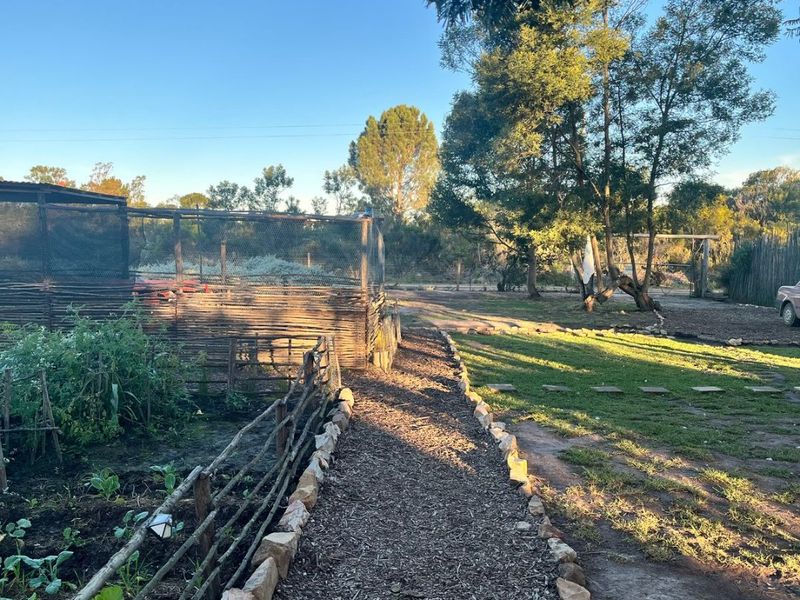 Large Vacant Erf/Small Holding Kurland - Photo 8