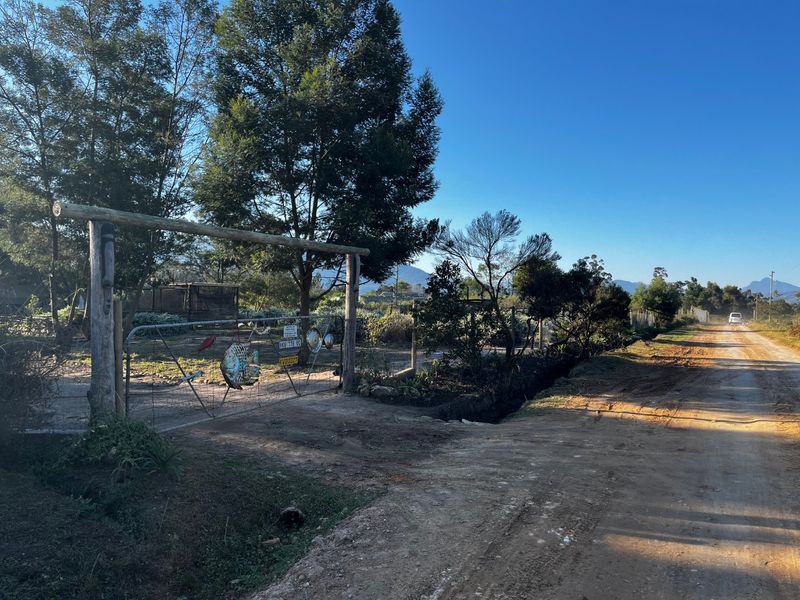 Large Vacant Erf/Small Holding Kurland - Photo 6