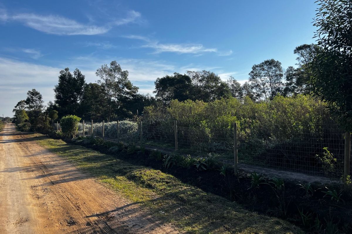 Large Vacant Erf/Small Holding Kurland - Photo 4