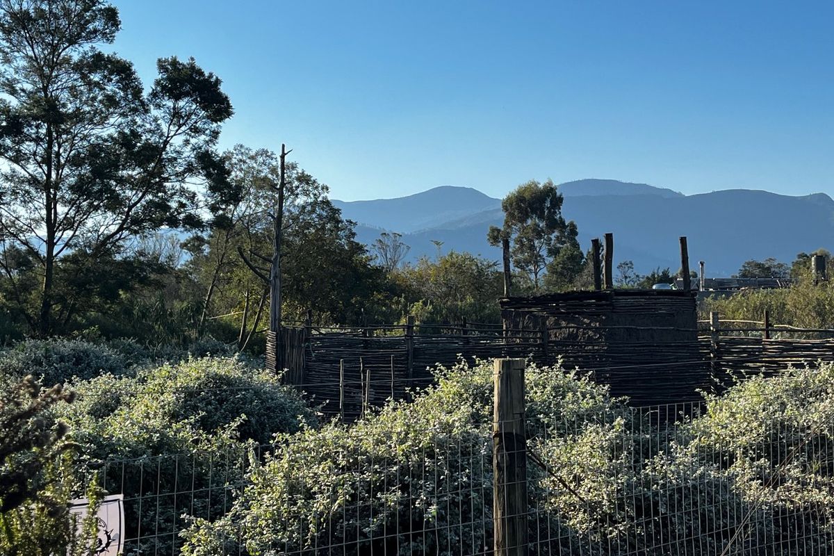 Large Vacant Erf/Small Holding Kurland - Photo 2