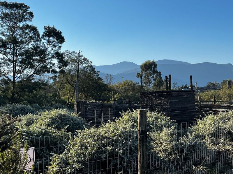 Large Vacant Erf/Small Holding Kurland - Photo 2