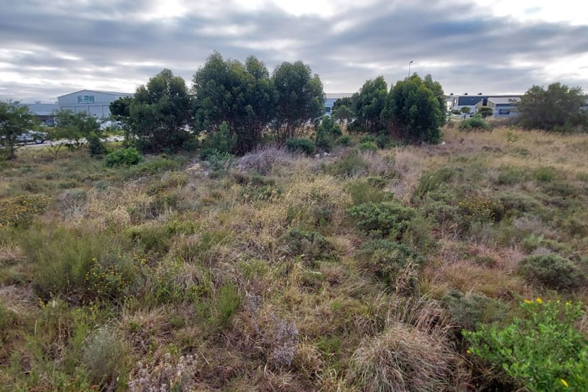 Vacant Land for Sale in Jeffreys Bay  - Photo 5