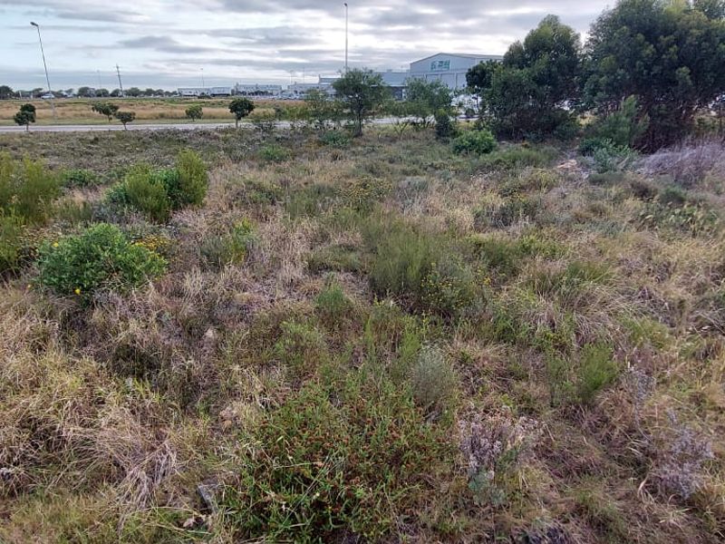 Vacant Land for Sale in Jeffreys Bay  - Photo 4