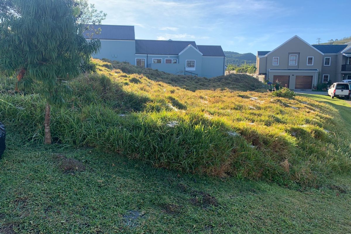 Your Dream Home Starts Here! - Photo 4