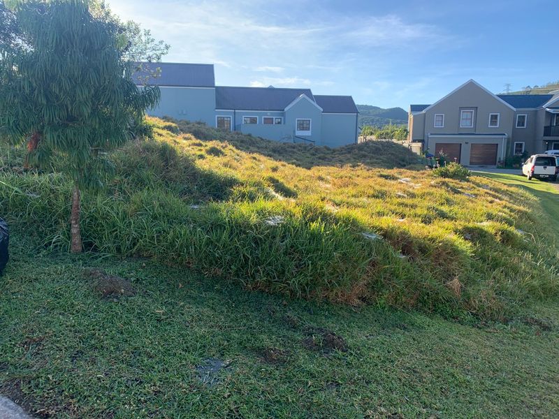 Your Dream Home Starts Here! - Photo 4