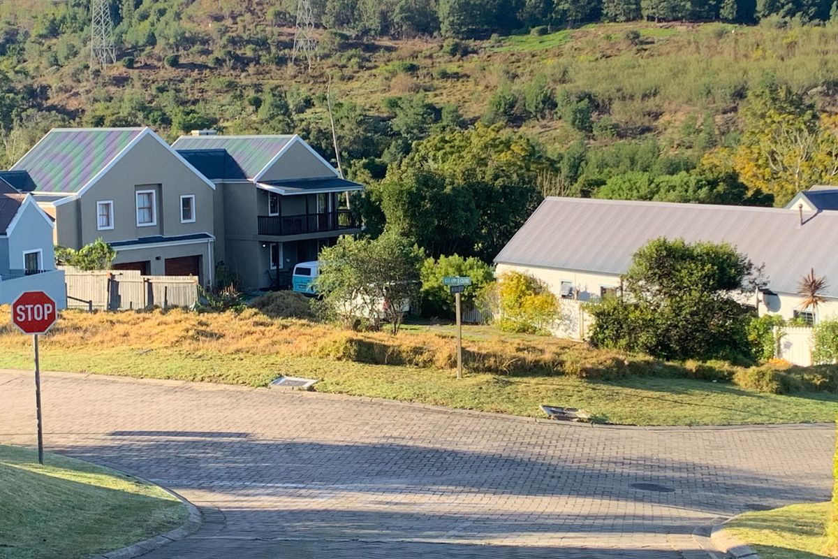 A street-level view of a residential neighbourhood featuring paved roads, surrounding homes, and established greenery in a quiet suburban setting.
