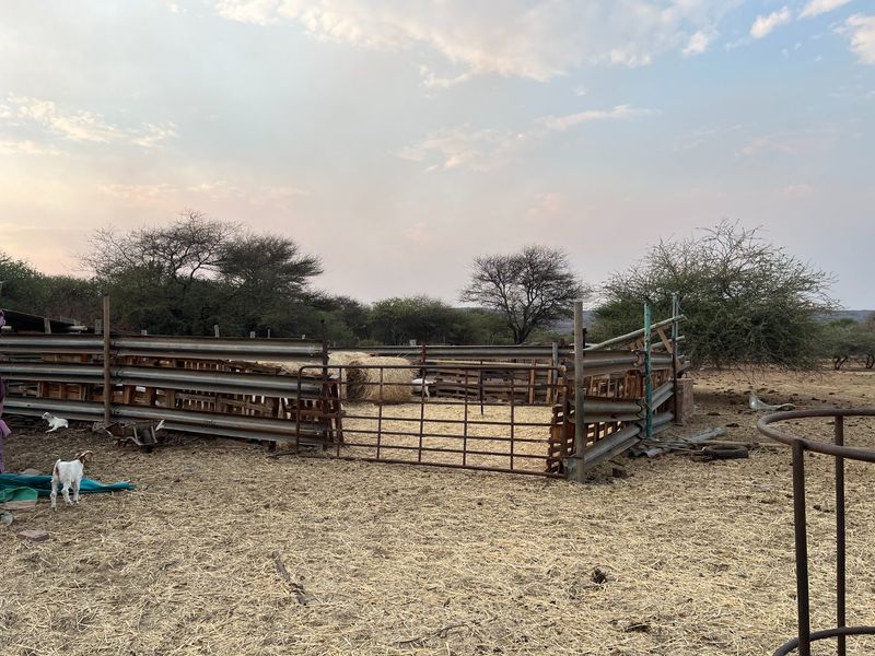 Farm For Sale in Bela Bela Central - Photo 8