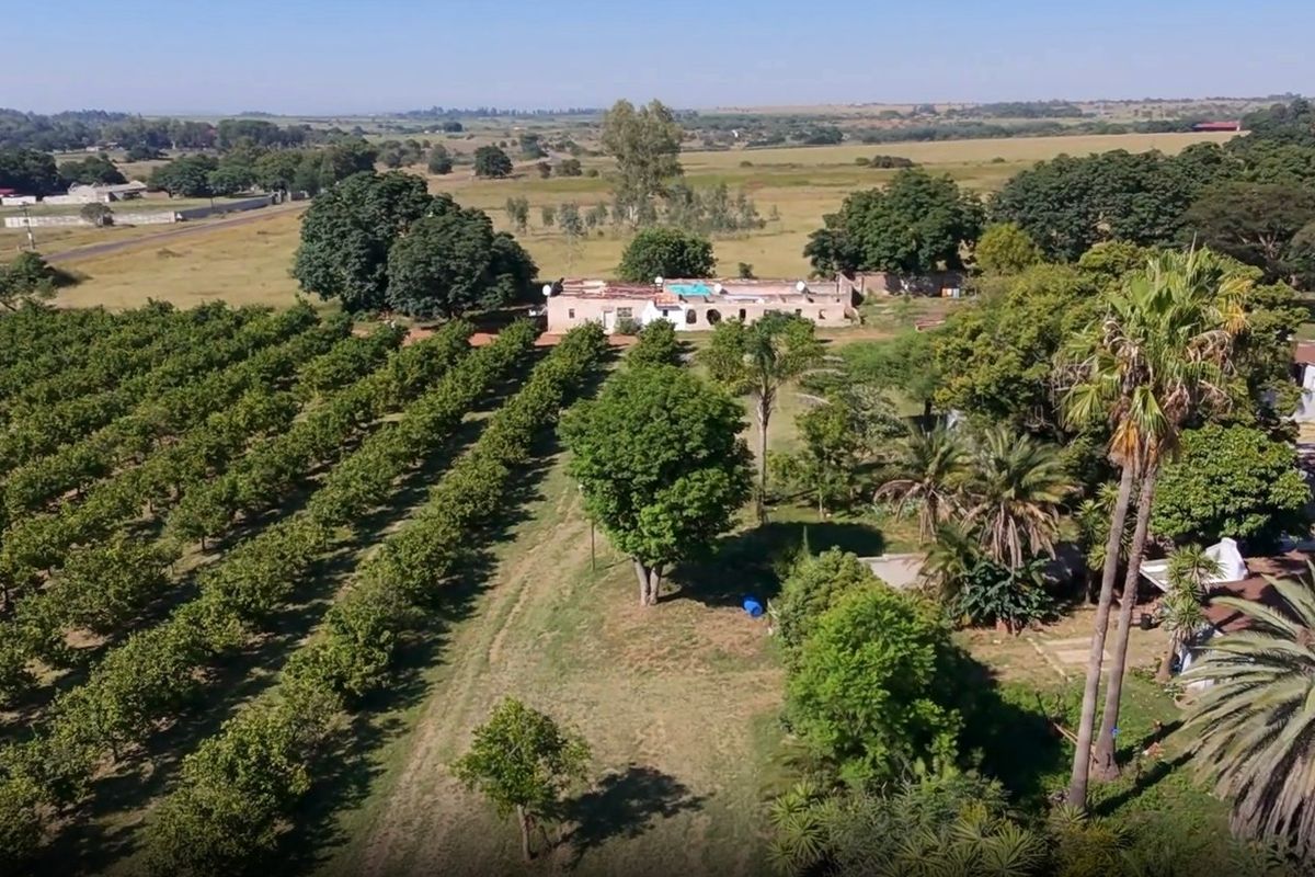 8.5ha Riverfront Plot in Vastfontein - Photo 3