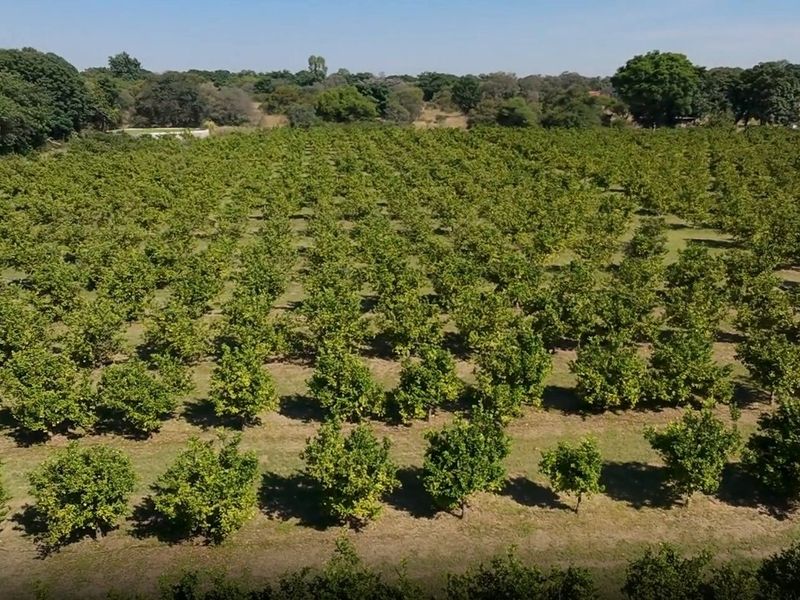 8.5ha Riverfront Plot in Vastfontein - Photo 6