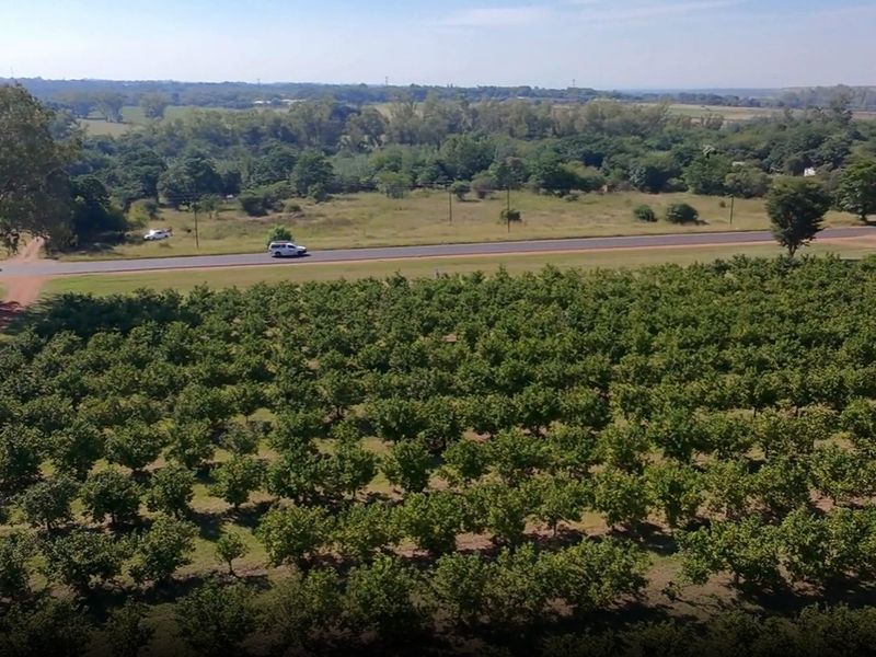 8.5ha Riverfront Plot in Vastfontein - Photo 4