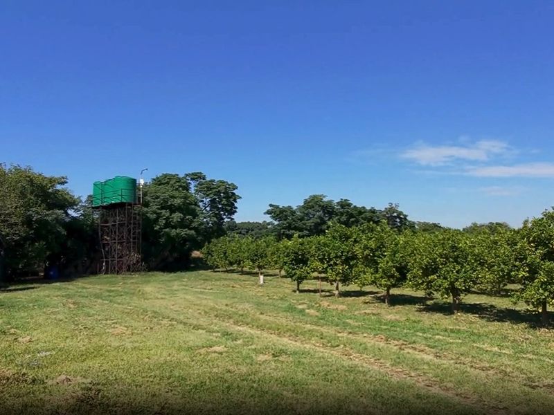 8.5ha Riverfront Plot in Vastfontein - Photo 5