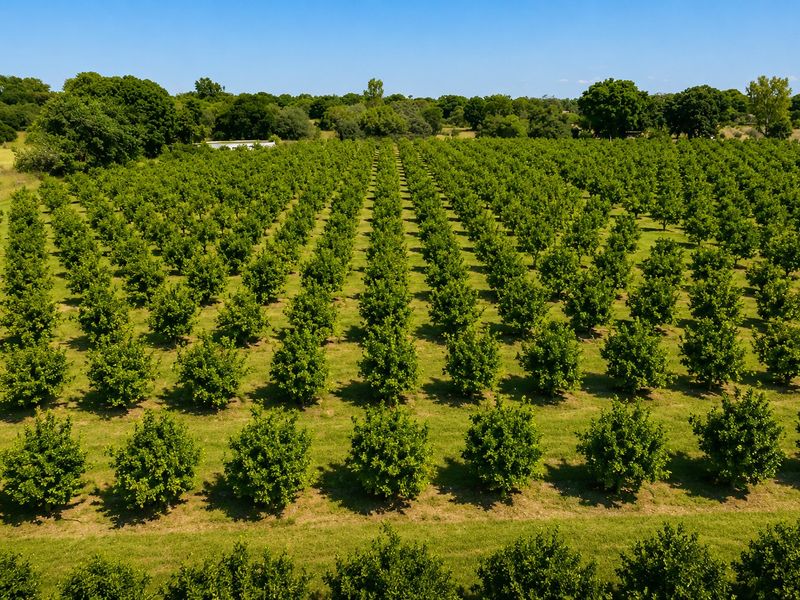 8.5ha Riverfront Plot in Vastfontein - Photo 4