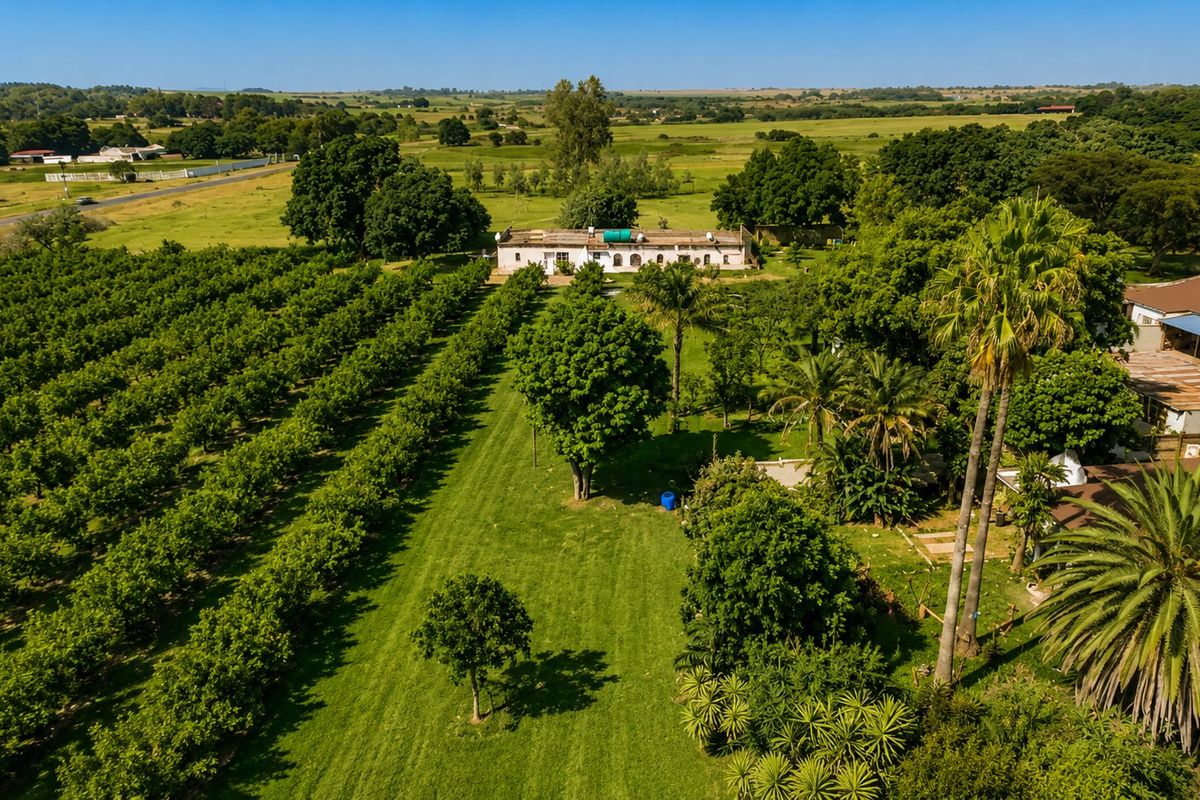 Aerial view of a farm property featuring a large orchard, expansive green lawns, mature trees, and the main farmhouse structure.