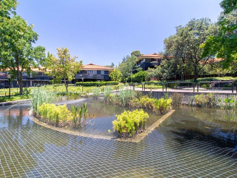 A well-maintained communal garden area featuring a landscaped pond with water features, surrounded by mature trees and paved walkways within the apartment complex.