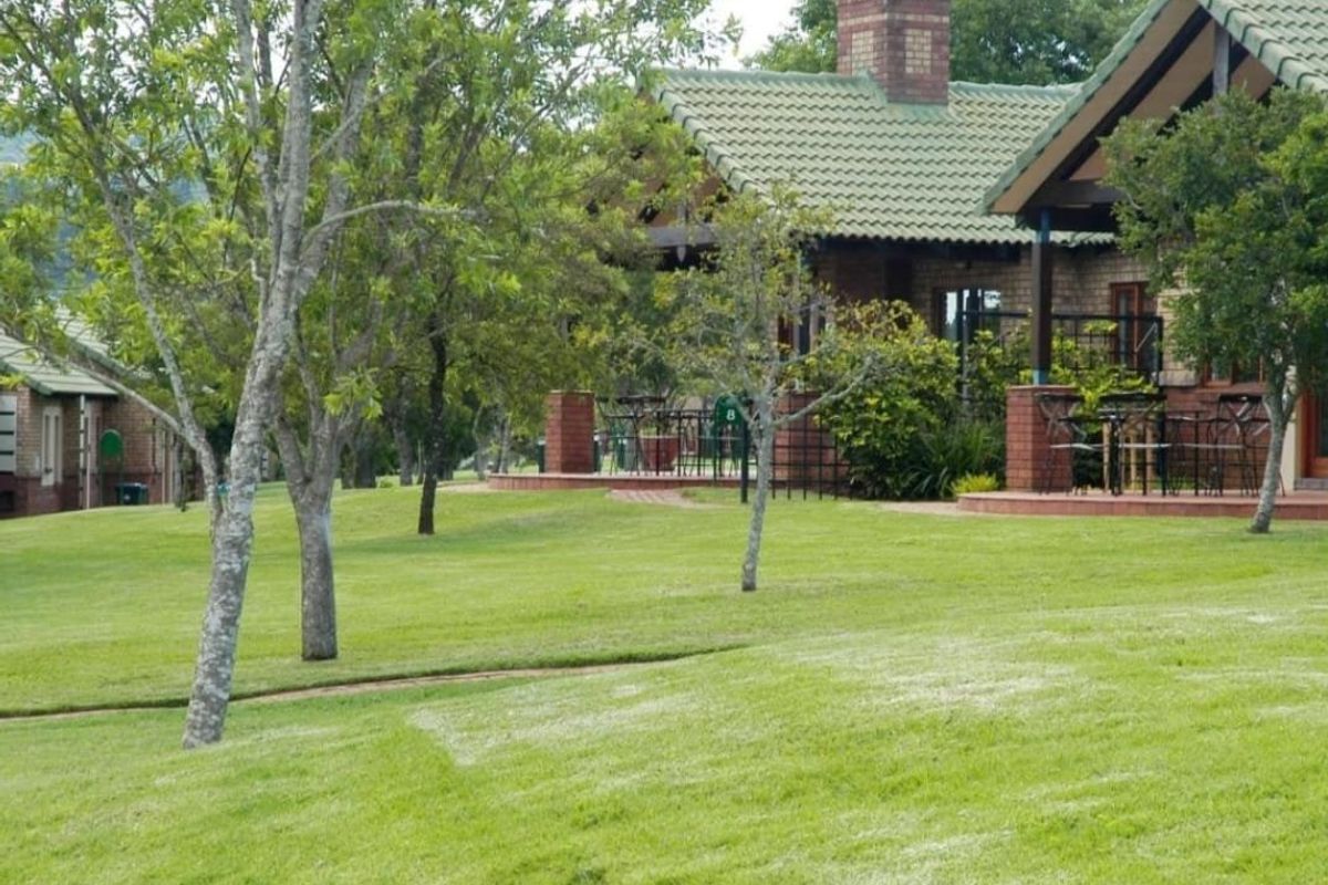 Income Earning Opportunity 3 Separate Rooms - Photo 5