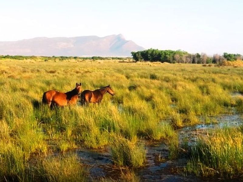 Golden opportunity to own one of the last vacant developable pieces of land inside a UNESCO Biosphere on a South African Coast. - Photo 6