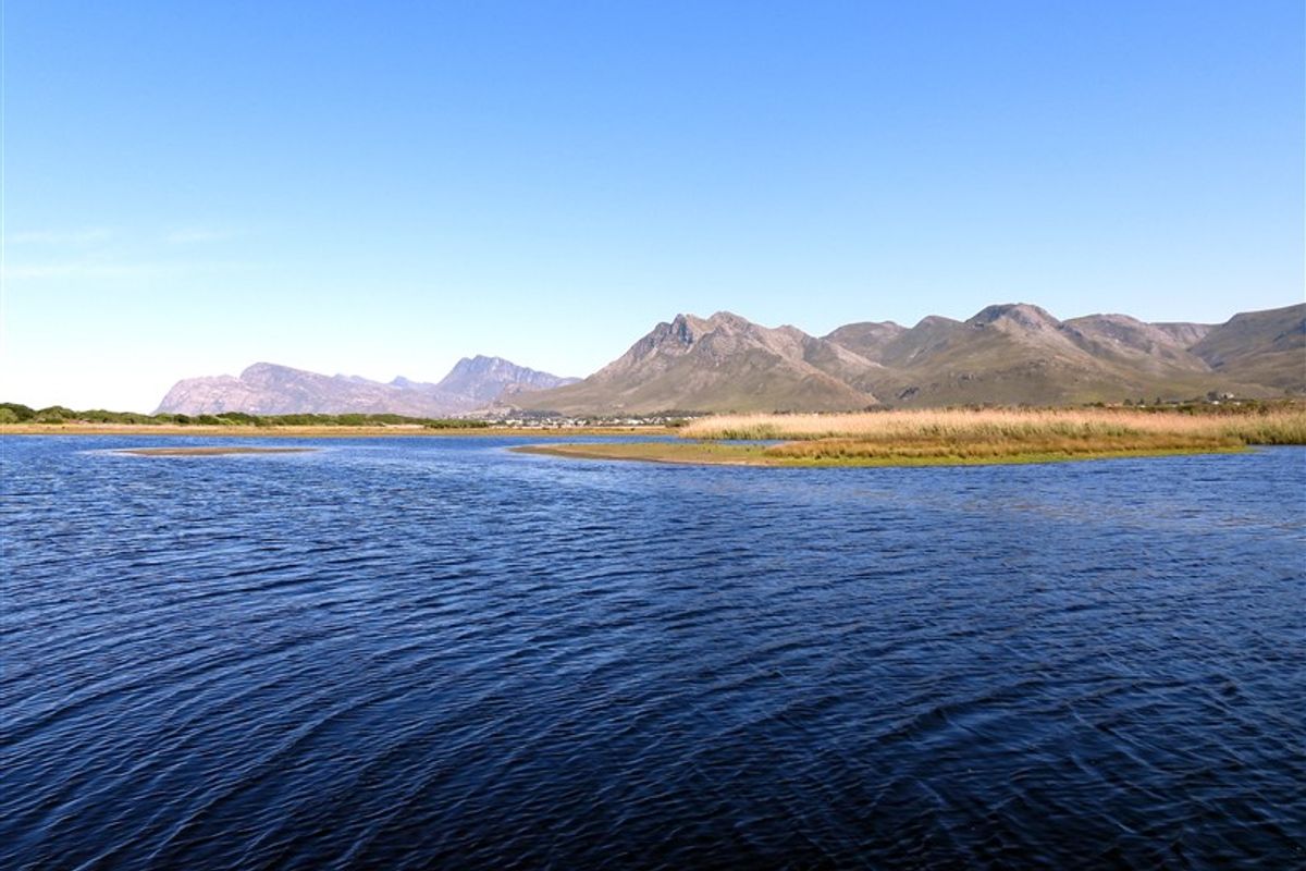 A scenic view of a tranquil lake with natural wetlands and distant mountain ranges under a clear blue sky.
