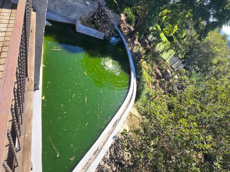 Spectacular Home In Noordsig - Photo 9