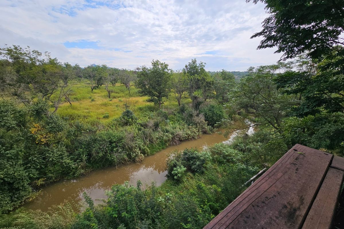 Large Family Home, Peaceful Views, Centrally Located  - Photo 4