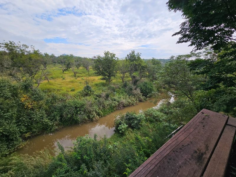 Large Family Home, Peaceful Views, Centrally Located  - Photo 4