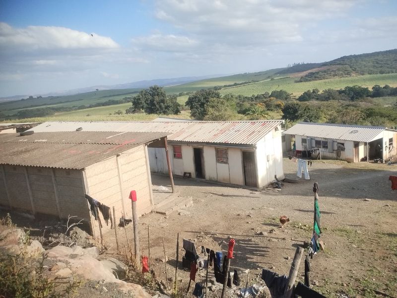 Farm for sale in Empangeni,Heatonville. - Photo 7