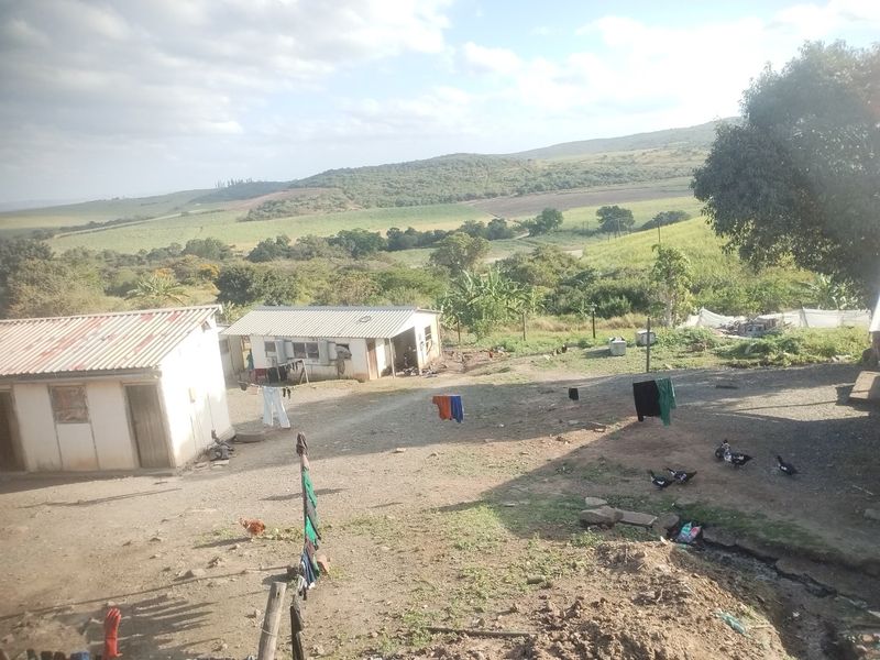 Farm for sale in Empangeni,Heatonville. - Photo 6