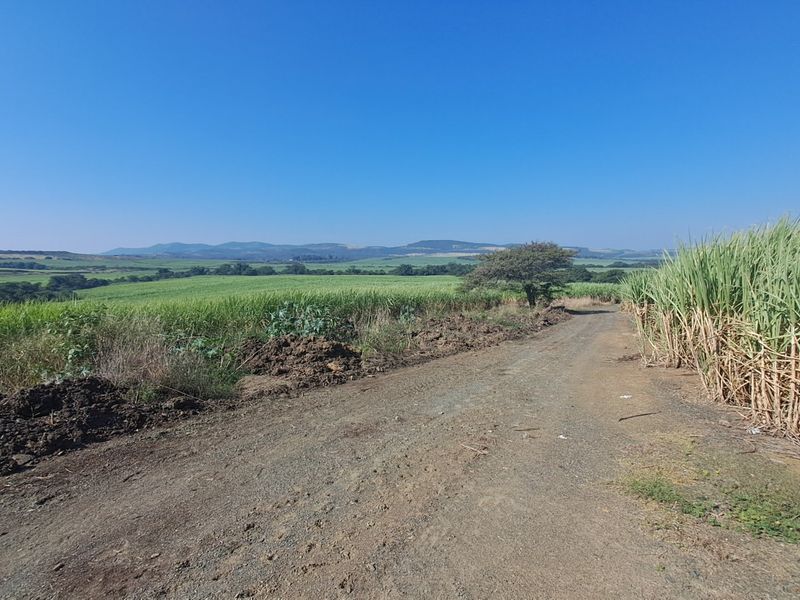 287.8 Hectare Commercial Sugar Cane Farm - Photo 8