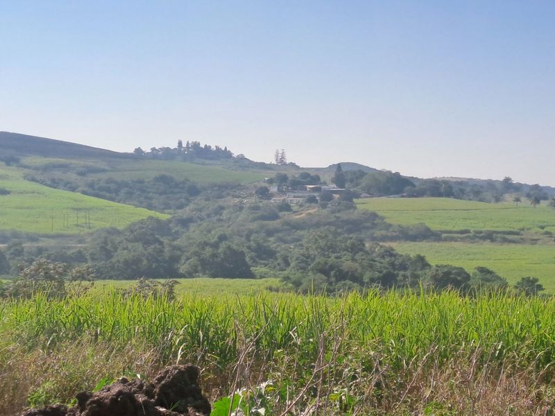 287.8 Hectare Commercial Sugar Cane Farm - Photo 6