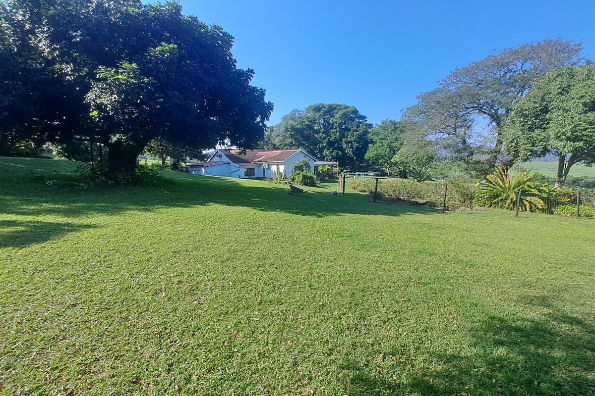 287.8 Hectare Commercial Sugar Cane Farm - Photo 4