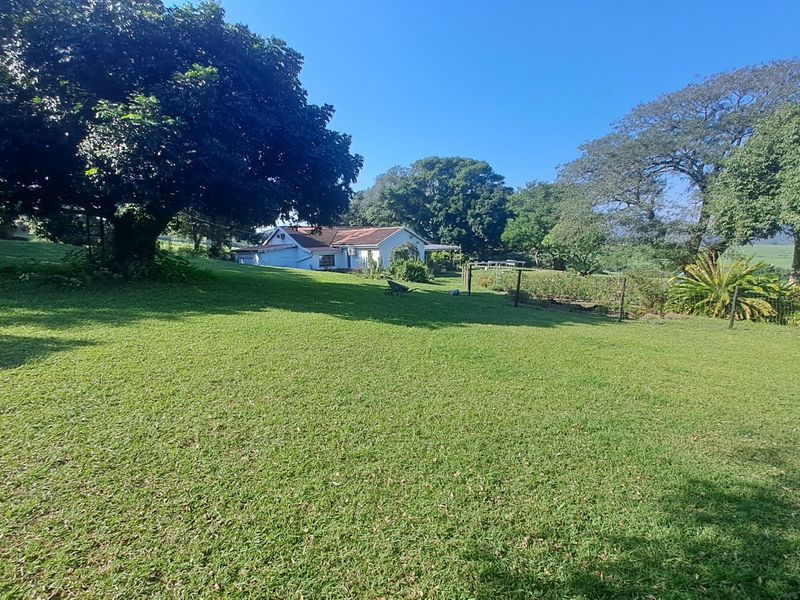 287.8 Hectare Commercial Sugar Cane Farm - Photo 4