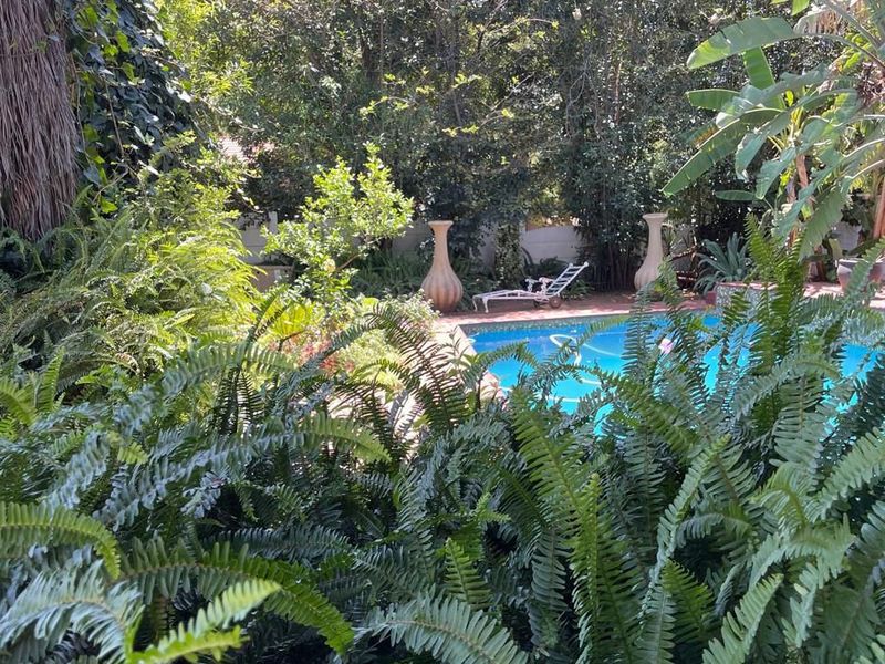 Modern Comfort Meets Entertainer’s Dream Home  - Photo 2