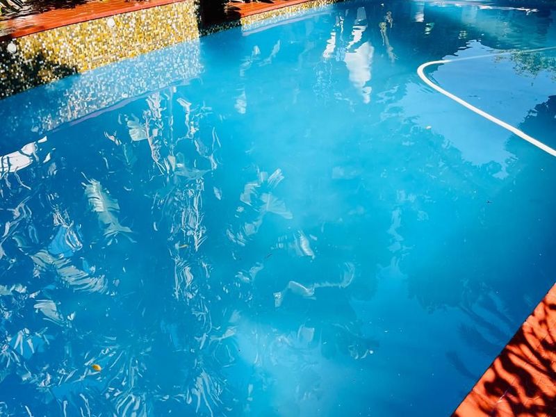 Modern Comfort Meets Entertainer’s Dream Home  - Photo 5