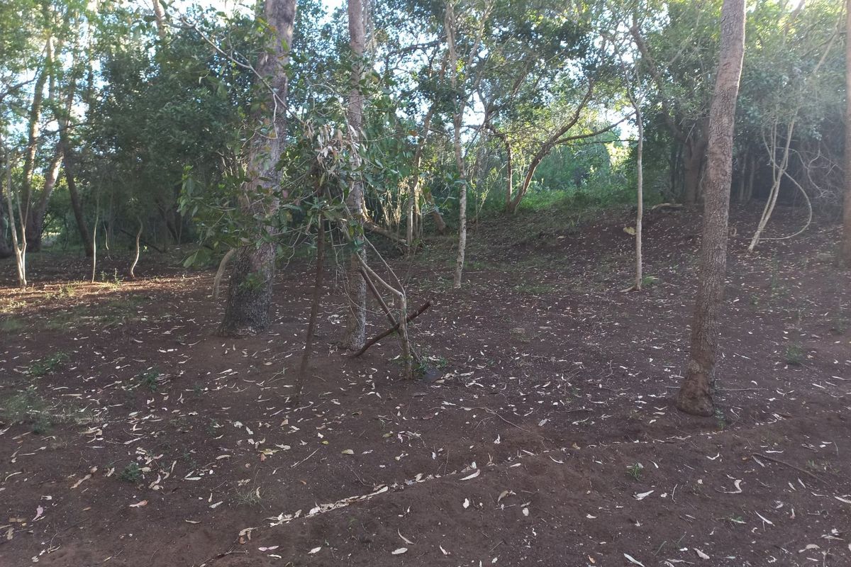 A view of a vacant residential plot featuring mature trees and cleared ground, offering a natural setting for potential development.