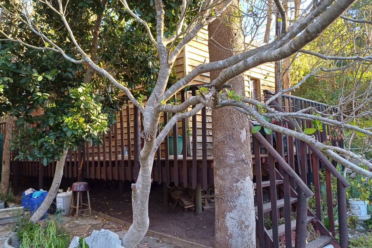 Rear view of a timber-clad residential structure featuring an elevated wooden deck and staircase, surrounded by mature trees and garden landscaping.