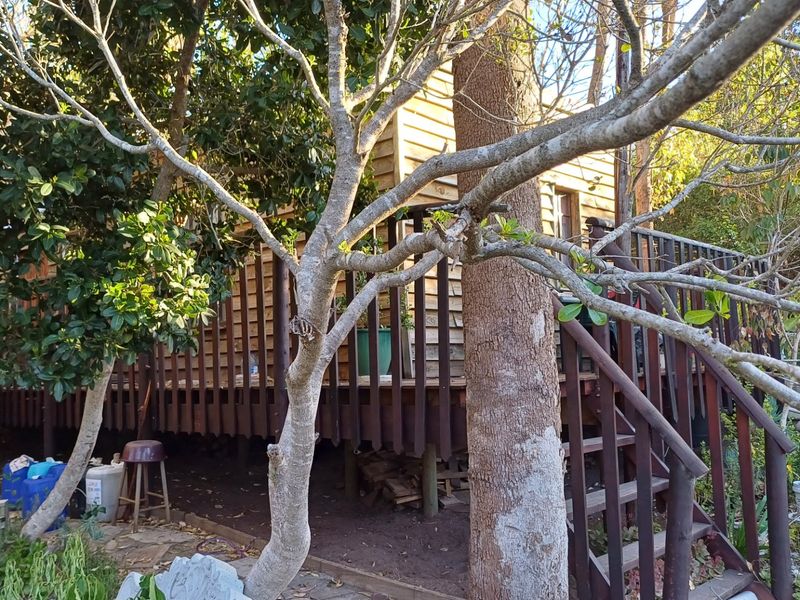 Rear view of a timber-clad residential structure featuring an elevated wooden deck and staircase, surrounded by mature trees and garden landscaping.