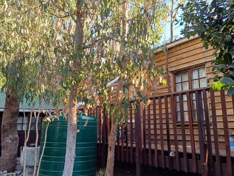 Rear view of a timber-clad cabin featuring a raised wooden deck, balustrade, and a large green water storage tank set within a wooded area.