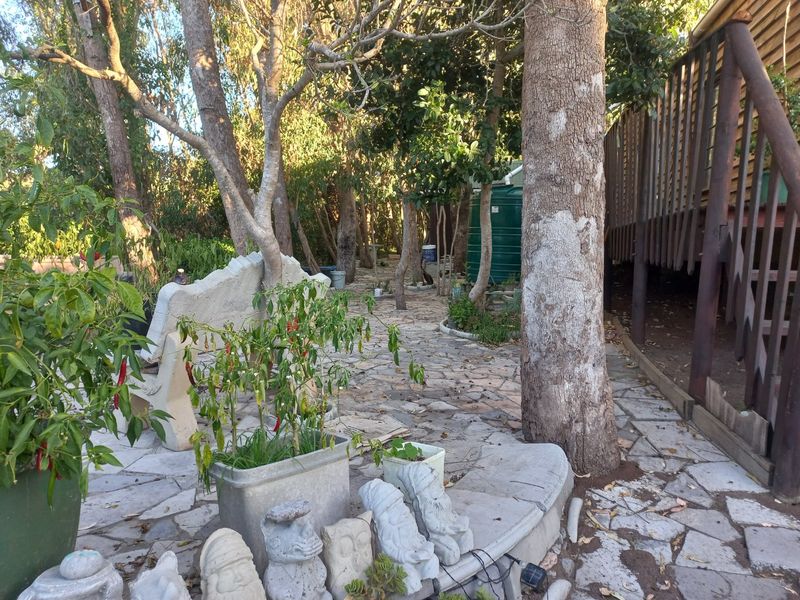 A shaded garden area featuring stone paving, mature trees, a water tank, and an elevated timber deck structure.