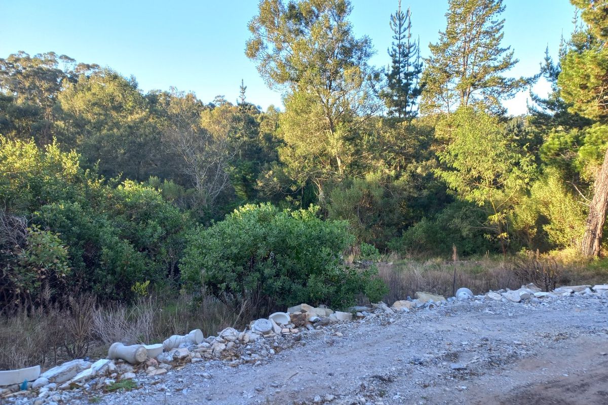 A view of a natural, undeveloped residential plot featuring mature trees, native vegetation, and a gravel verge.