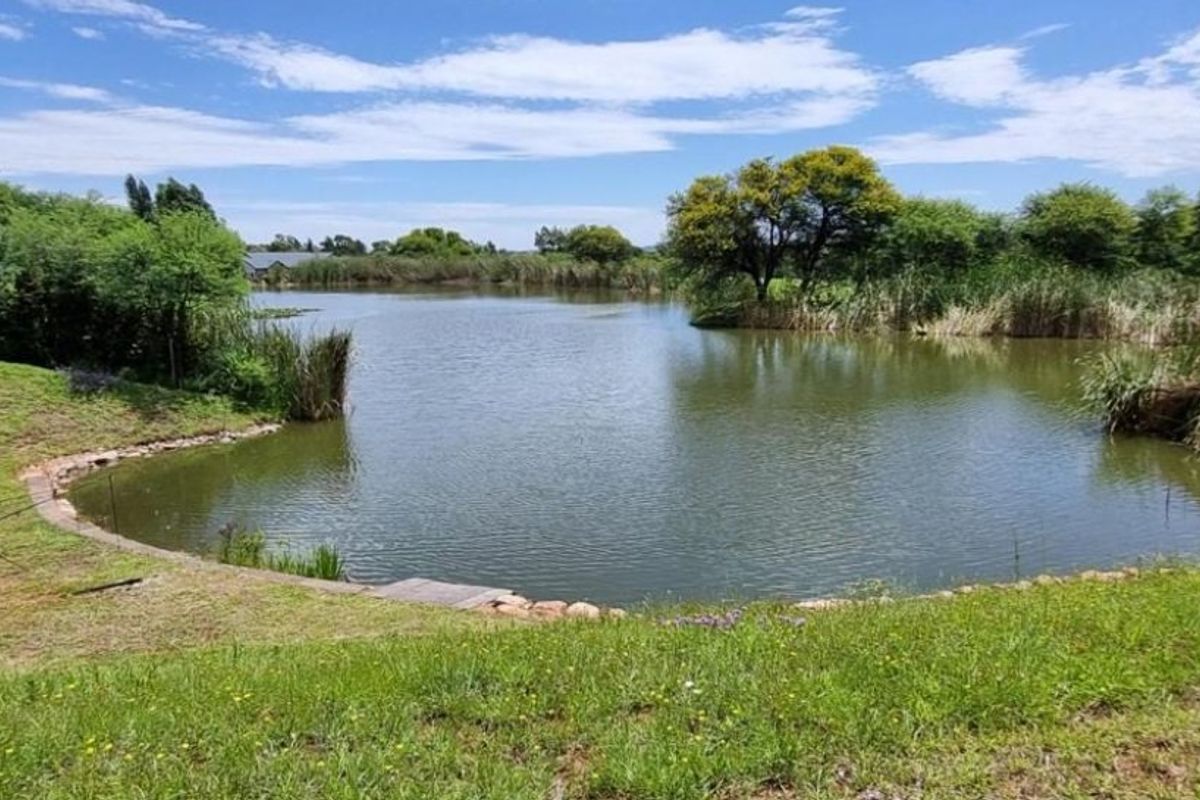 A scenic view of a natural pond featuring stone edging and lush surrounding greenery, offering a peaceful outdoor landscape.