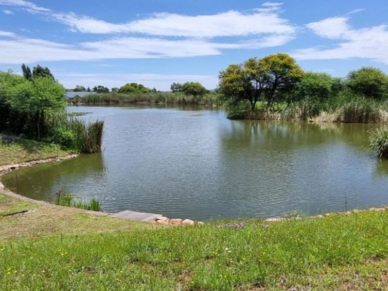 A scenic view of a natural pond featuring stone edging and lush surrounding greenery, offering a peaceful outdoor landscape.