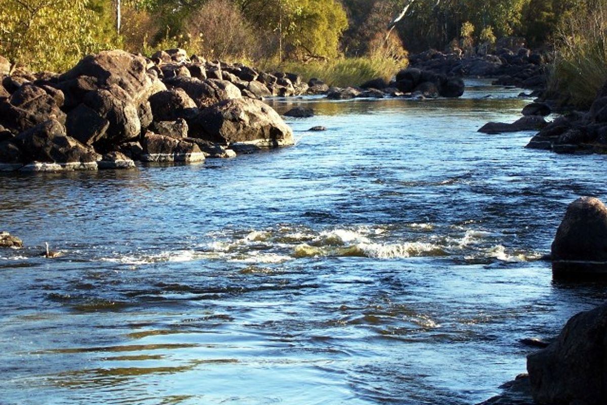 A scenic view of a flowing river with rocky banks and natural vegetation.